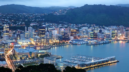 Mosaic Classes in Lower Hutt
